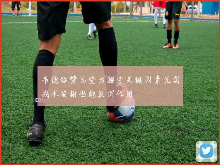 韦德称赞戈登为掘金关键因素无需战术安排也能发挥作用