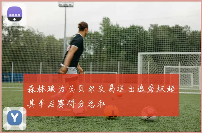 森林狼为戈贝尔交易送出选秀权超其季后赛得分总和
